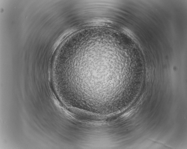 X0000057090994200509091309