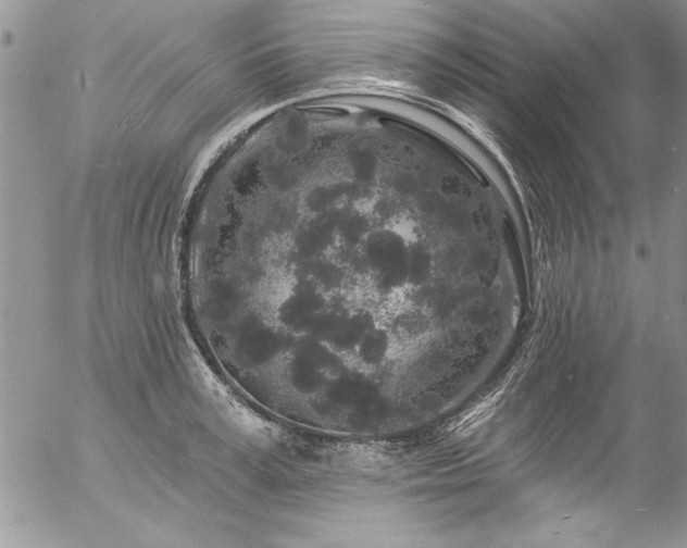 X0000057090995200509091309