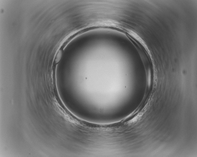 X0000057090996200509091309