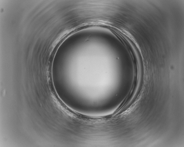 X0000057090997200509091309