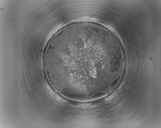 X0000057090998200509091308