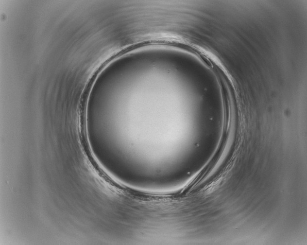 X0000057090999200509091308