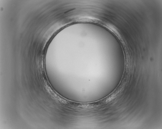 X0000057091000200509091308