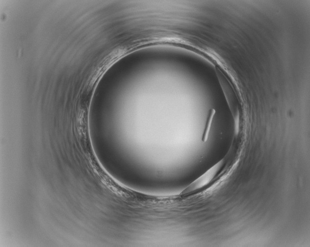 X0000057091001200509091308