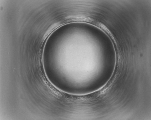 X0000057091002200509091308