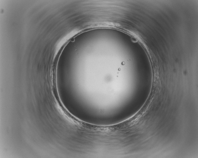 X0000057091003200509091308