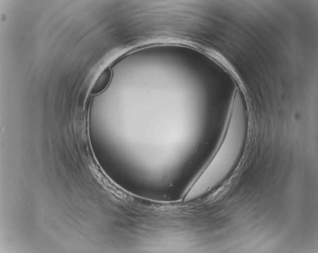 X0000057091004200509091308