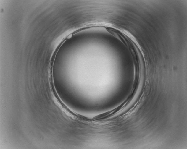 X0000057091005200509091308