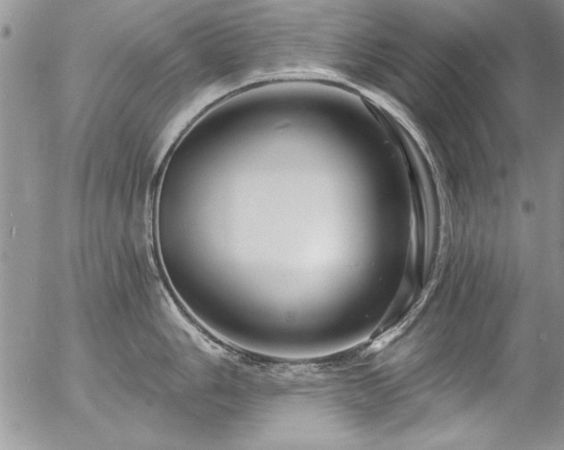 X0000057091006200509091308