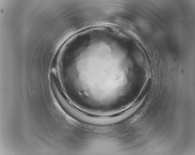 X0000057091007200509091308