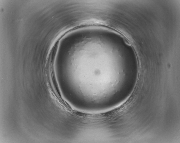 X0000057091008200509091308