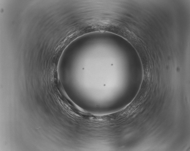 X0000057091012200509091308