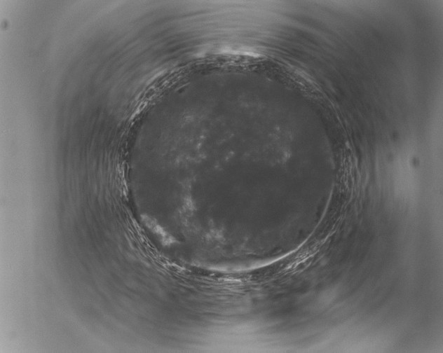 X0000057091013200509091308