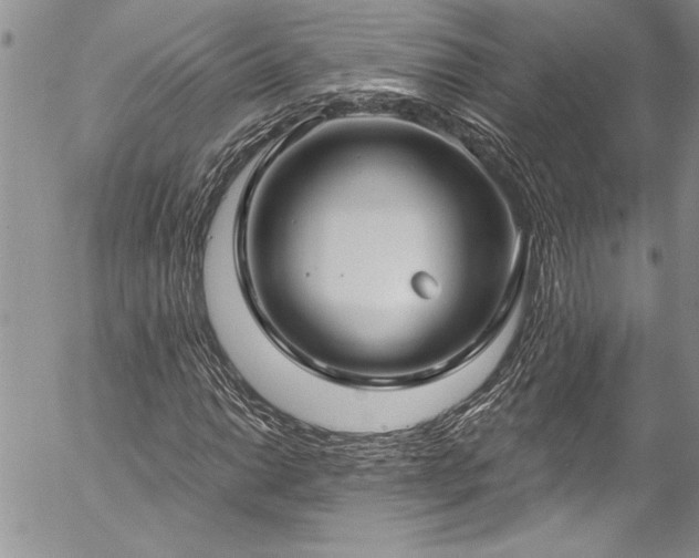 X0000057091014200509091308