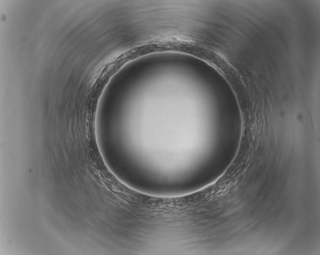 X0000057091016200509091308