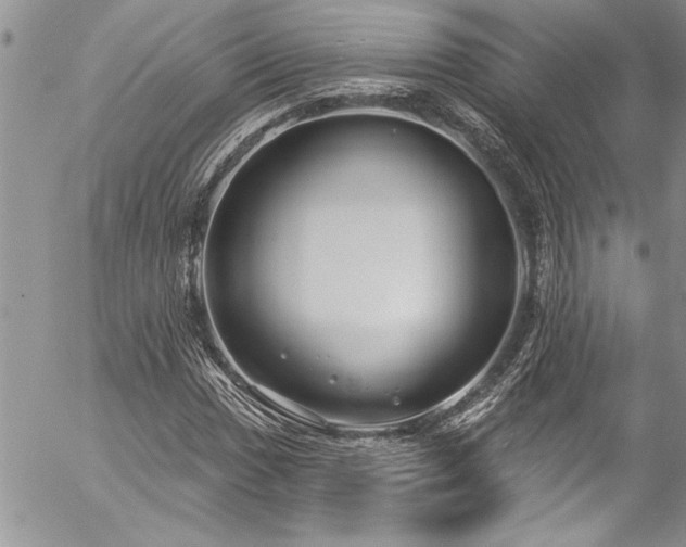 X0000057091017200509091308