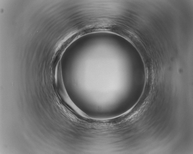 X0000057091018200509091308