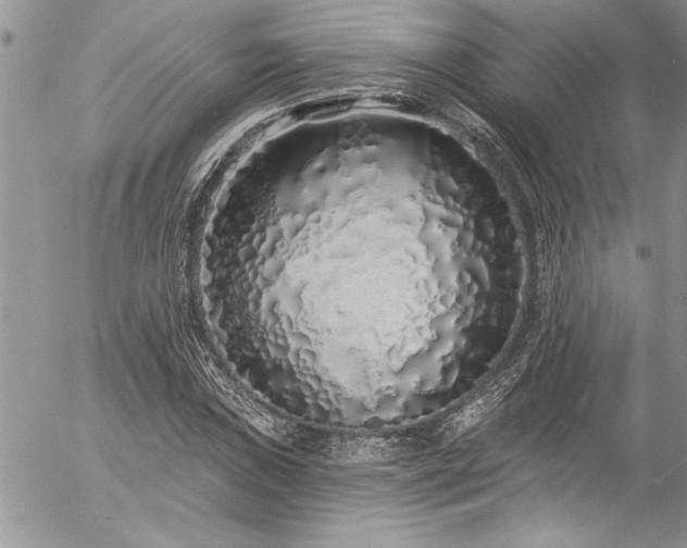 X0000057091019200509091308