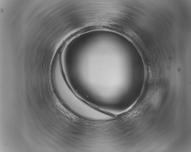 X0000057091020200509091308