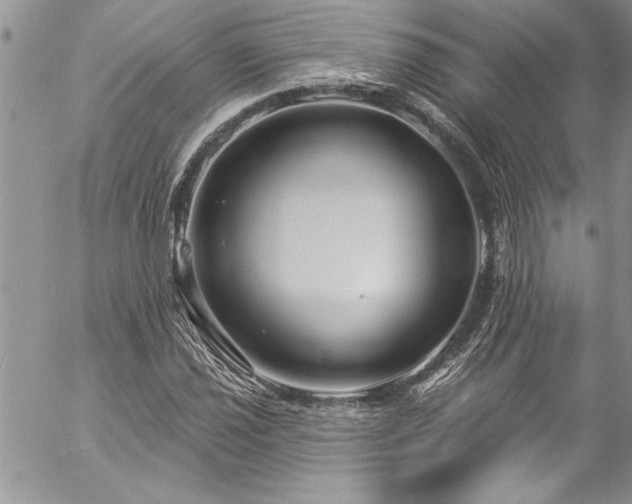 X0000057091021200509091308