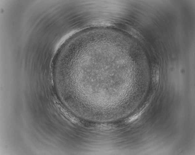 X0000057091022200509091308