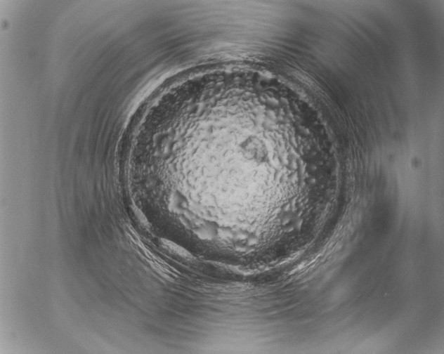 X0000057091023200509091308