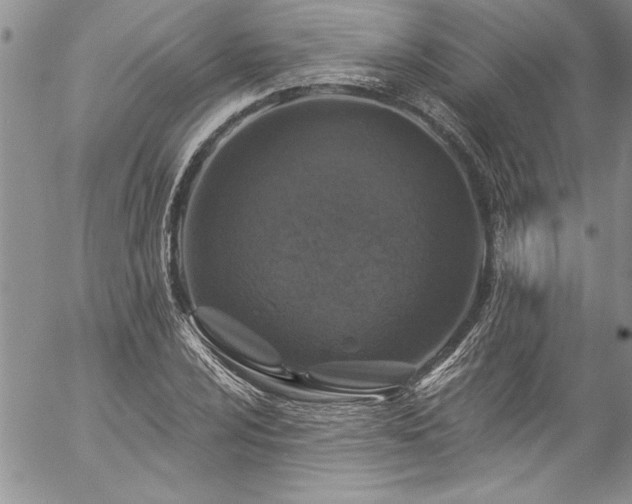 X0000057091024200509091308