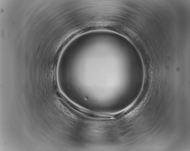 X0000057091025200509091308