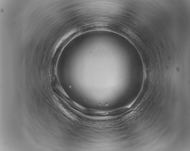 X0000057091026200509091308