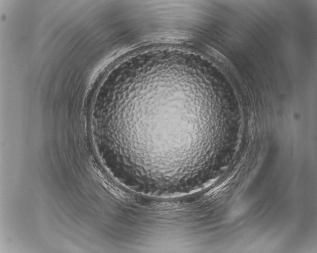 X0000057091027200509091308