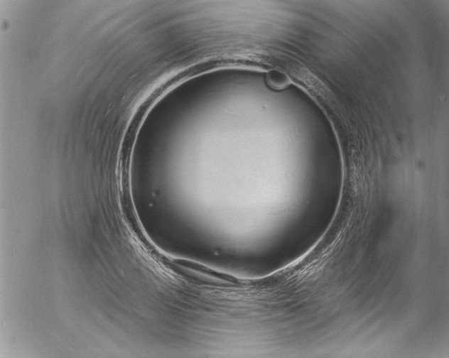 X0000057091028200509091308