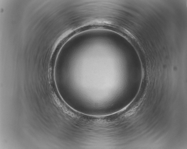 X0000057091029200509091308