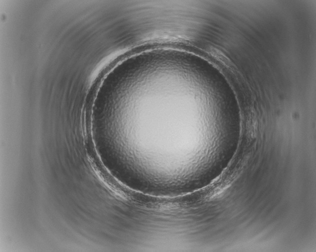 X0000057091030200509091308