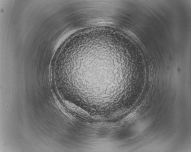 X0000057091031200509091308