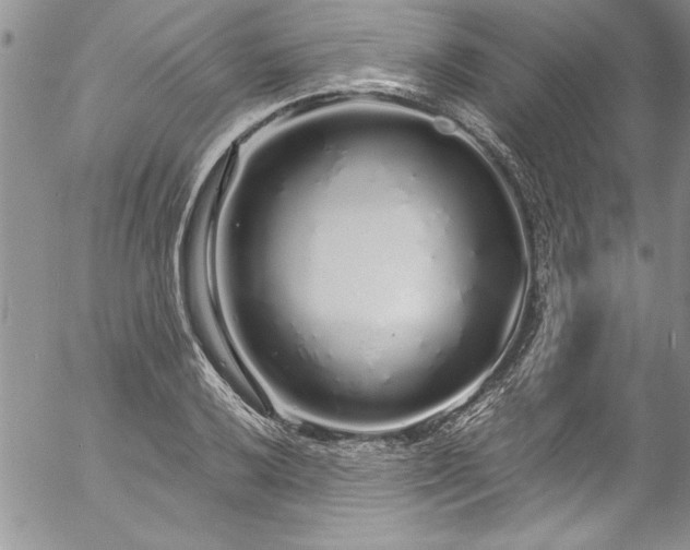 X0000057091032200509091308