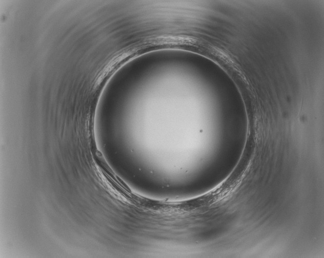 X0000057091033200509091308