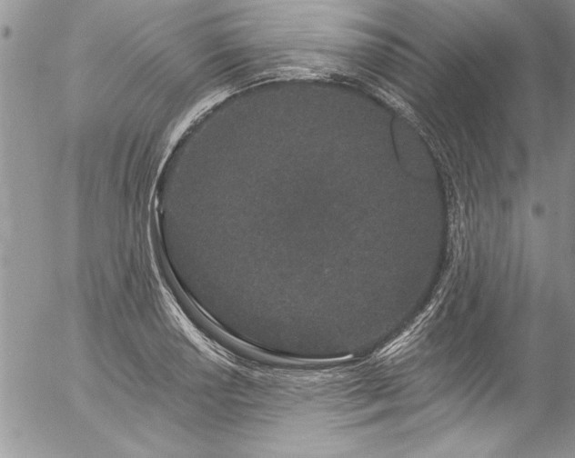 X0000057091034200509091308