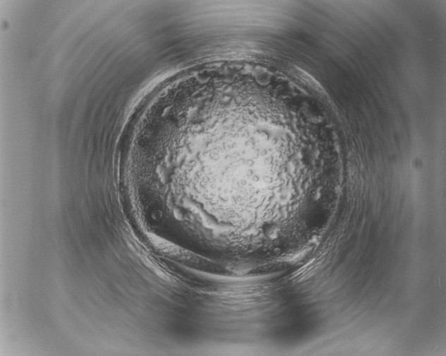 X0000057091035200509091308