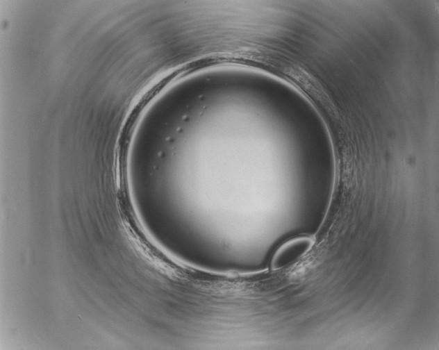 X0000057091036200509091308