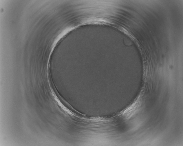 X0000057091037200509091308