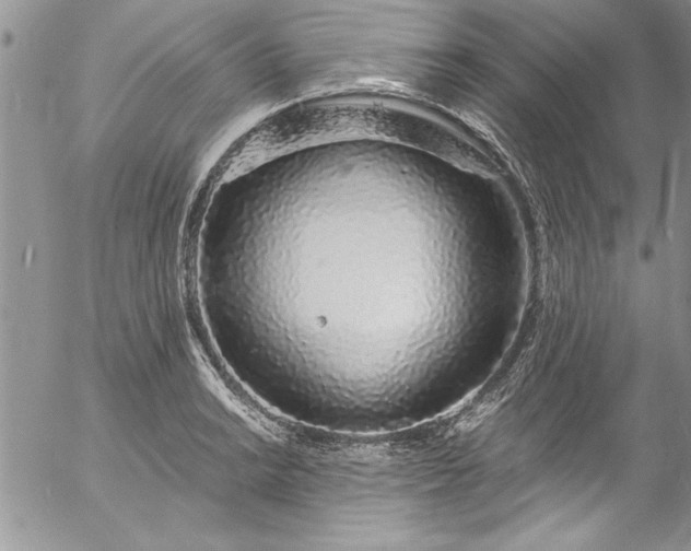 X0000057091038200509091308