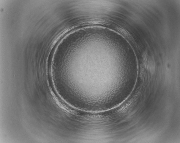 X0000057091039200509091308