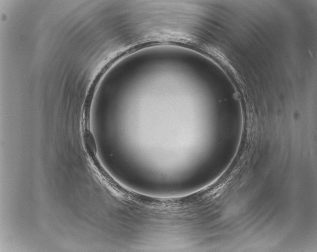 X0000057091040200509091308