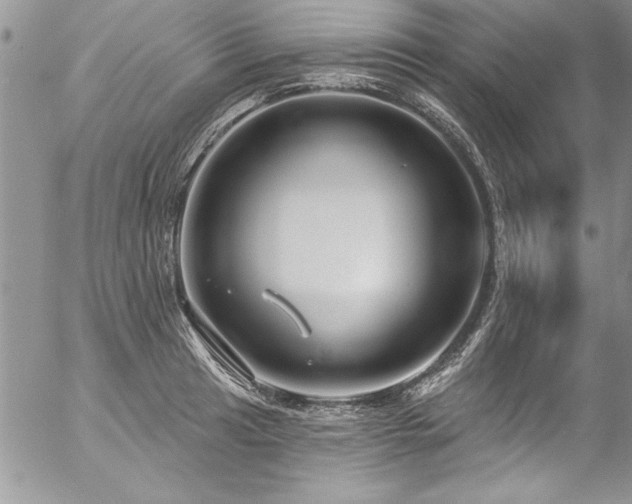 X0000057091041200509091308