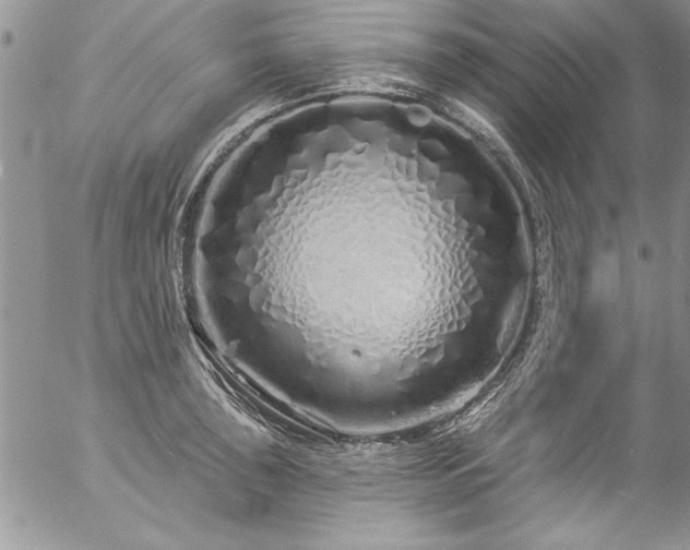 X0000057091043200509091308