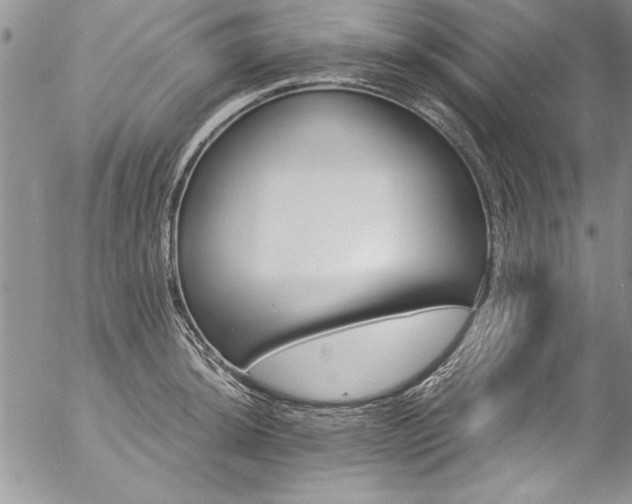 X0000057091044200509091308