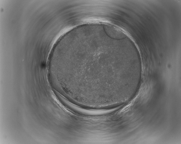 X0000057091045200509091308