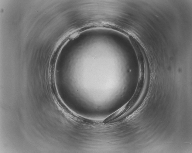 X0000057091046200509091308