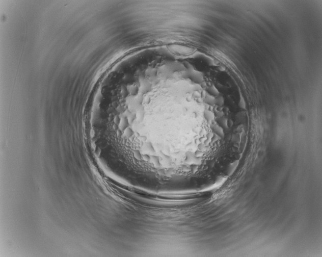 X0000057091047200509091308