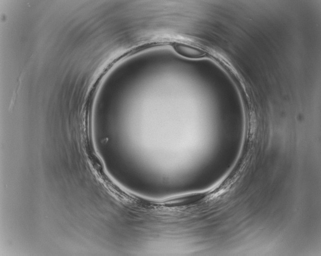 X0000057091048200509091308